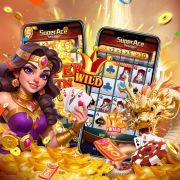 664bet
